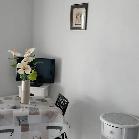 Renove Avec Television, Lave-linge, Animaux Admis - Fr-1-680-23 Balaruc-les-Bains