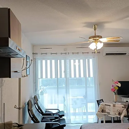Apartment Renove Avec Television, Lave-linge, Animaux Admis - Fr-1-680-23 *