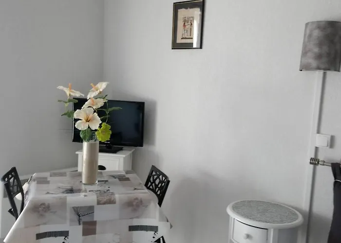 Renove Avec Television, Lave-linge, Animaux Admis - Fr-1-680-23 Balaruc-les-Bains