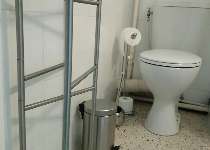 Renove Avec Television, Lave-linge, Animaux Admis - Fr-1-680-23 Apartamento Balaruc-les-Bains